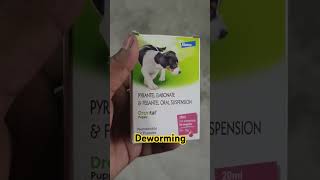 puppy ke liye Deworming syr pyrantel embonate amp Drontal puppyytshorts dhanbad [upl. by Nesnej]