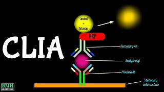 Chemiluminiscence Immunoassay  CLIA Immunoassay [upl. by Drogin355]