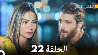 مسلسل الطائر المبكر الحلقة 22 Arabic Dubbed  FULL HD [upl. by Gaw]