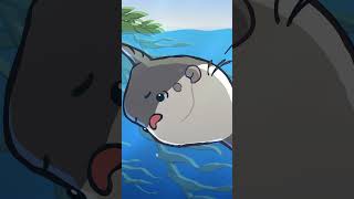 Ocean Sunfish 🌕🐡 animation original cartoon [upl. by Olegnalehcim]