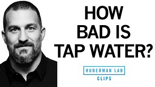 How Bad Is Tap Water for Health  Dr Andrew Huberman [upl. by Scarrow760]