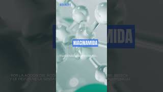 Adanepe Serum parodia Evagina [upl. by Schach]