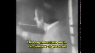 Gilles Deleuze quotDois regimes de signosquot legendas em português [upl. by Wilde]