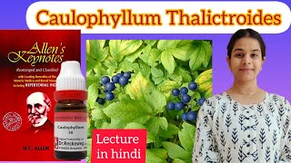 Caulophyllum Thalictroides homeopathic medicine Allens keynotes materia medica in hindi easy [upl. by Sirraf368]