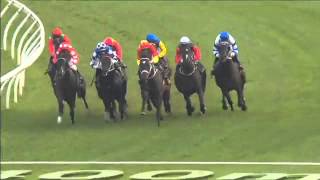 Randwick Race 7 April 16th 2016  ALL AGED STAKES [upl. by Lebanna511]