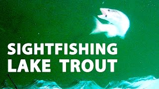 Sightfishing Lake Trout in 27 feet  CLEARwater Lake Manitoba [upl. by Aleece404]