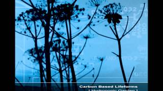 Carbon Based Lifeforms  Hydroponic Garden Full Reissued Album [upl. by Massab]