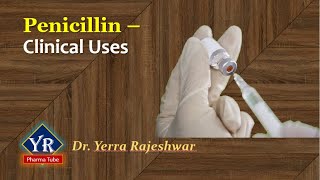 Penicillin  Clinical Uses  Clinical uses of Penicillins  YR Pharma Tube  Dr Yerra Rajeshwar [upl. by Boucher]