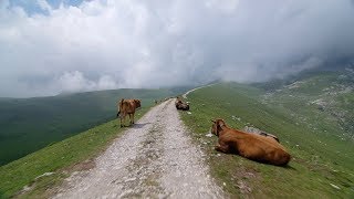 Crossing Picos de Europa  Indoor Cycling Training [upl. by Ycats]