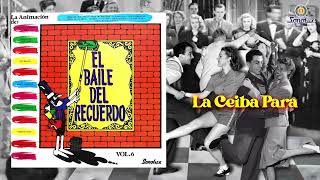 El Baile Del Recuerdo Volumen 6  Álbum Completo [upl. by Sarajane989]