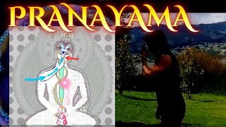 How to activate the pineal gland and Kundalini with pranayama [upl. by Arick]