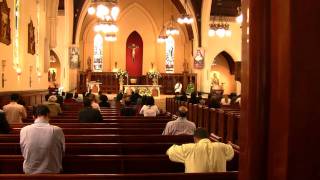 Communion during Novus Ordo Mass at St Patricks in Auckland [upl. by Yreffeg740]