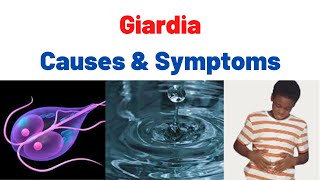 Giardiasis Fatty Stool SymptomsCauses Treatment Summary What is Giardia Giardia lamblia [upl. by Goode]