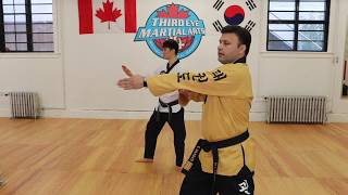 POOMSAE 4 Instructional [upl. by Arahas577]