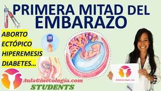 PRIMERA MITAD DEL EMBARAZO AulaGinecología  STUDENTS ABORTO ECTÓPICO HIPEREMESIS DIABETES [upl. by Naldo]