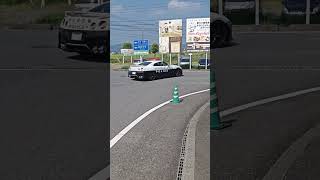 一時停止疑惑？！国内唯一無二のGTR（R35）パトカー🚨、栃木県警👮‍♂️ [upl. by Kelsi154]