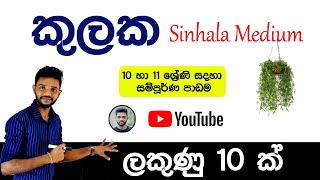 Kulaka Grade 10 And Grade 11  OL Kulaka Full Video lesson in Sinhala  කුලක [upl. by Rosenwald]