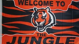 Cincinnati Bengals Theme Song [upl. by Amsirp]