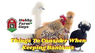 Bantam Chickens Special Considerations When Keeping Small Breeds [upl. by Onitnatsnoc]