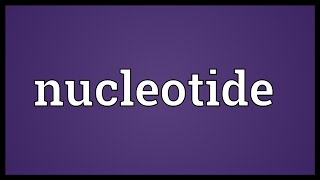 Nucleotide Meaning [upl. by Rind]