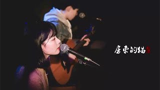 【HD】房東的貓  下一站茶山劉 完整高清音質 The Landlords Cat  The Next Stop Is Chashan Liu [upl. by Cullin]