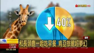 肯亞長頸鹿莊園Giraffe Manor 和長頸鹿一起早餐 加拿大神秘的球狀樹屋旅館 [upl. by Ayal]