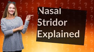 What is nasal stridor [upl. by Herc227]