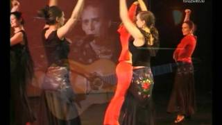 Flamenco tanzen lernen in der Tanzschule Berlin  TanzZwiEt [upl. by Yraht923]