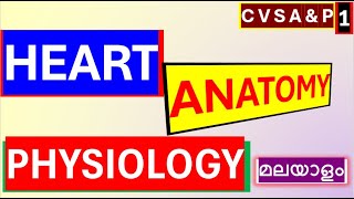 Cardiovascular System Anatomy Physiology Malayalam Anatomy of Heart Anatomy Physiology Malayalam [upl. by Nuri]