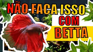 🔴PEIXE BETTA ERROS QUE OS AQUARISTAS COMETEM EM AQUÁRIOS Mr Betta [upl. by Aikenahs28]