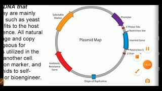 Expression system for heterologous gene in E COLI in hindi [upl. by Mildred]