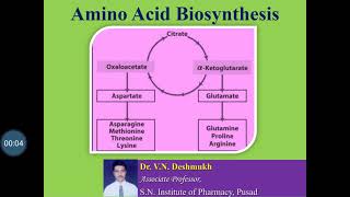 Amino acids Biosynthesis [upl. by Eula881]