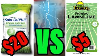 Which Lime For Lawns Is More Powerful [upl. by Latif137]