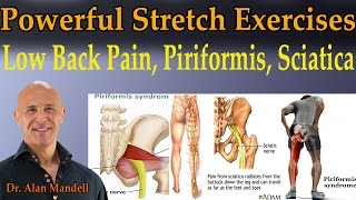 4 Powerful Stretch Exercises for Low Back Pain Piriformis Sciatica  Dr Mandell [upl. by Tandi263]