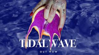 Chase Atlantic  Tidal Wave Official Lyric Video [upl. by Nnylyak593]