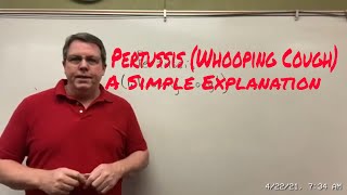 Pertussis Whooping cough [upl. by Ydahs]