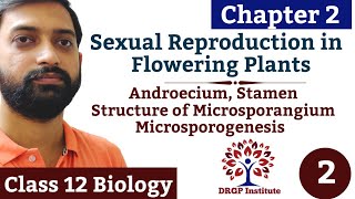 RBSE  Chapter 2  Sexual Reproduction in Flowering Plants  Structure of Microsporangium  Part2 [upl. by Amby]