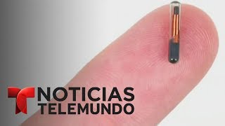 Implantan microchips a empleados de una empresa en Wisconsin  Noticiero  Noticias Telemundo [upl. by End]