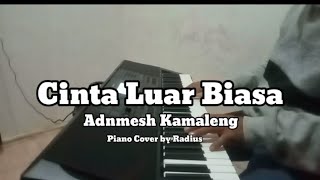 Cinta Luar Biasa  Andmesh Kamaleng Piano Cover by Radius [upl. by Wini538]