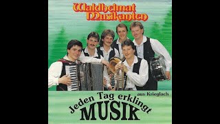 WaldheimatMusikanten Jeden Tag erklingt Musik Studioalbum 3 [upl. by Ploss]