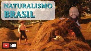 Naturalismo Brasil Prof Noslen [upl. by Allets]