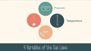 Gases and Gas Laws [upl. by Lertsek]