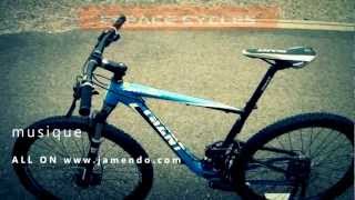 Giant Anthem X4 29er 2013 [upl. by Matheny]