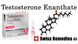 Testosterone Enanthate Overview Dosage Cycle [upl. by Kcin]