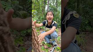 Survival Skills In Forest Kitten rescue survival bushcraft camping outdoors forest kitten [upl. by Yorle]