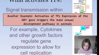 Eukaryotic Gene Expression [upl. by Bowie]