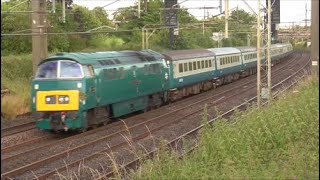 D1015 Western Champion on the Westbury Wizzo charter 060724 [upl. by Gnud138]