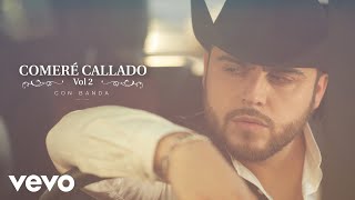 Gerardo Ortiz  Regresa Hermosa Versión Banda  Audio [upl. by Nwahsav647]