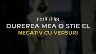 Negativ  DUREREA MEA O STIE EL  Iosif Filip  2024 [upl. by Spoor]