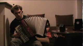 Nina Simone  Feeling Good  Accordion improvisation [upl. by Nanda]